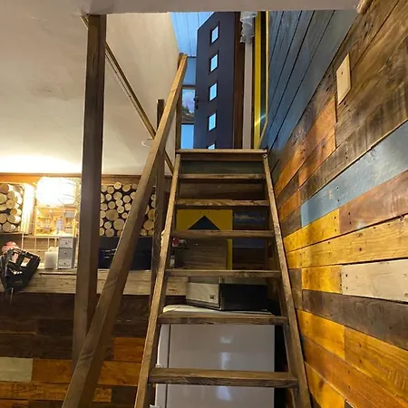 Zielone Okiennice * Bachowice